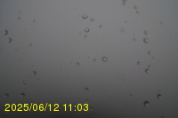 Img20250612_110323.jpg