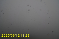 Img20250612_112323.jpg