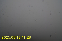 Img20250612_112823.jpg