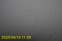 Img20250612_113323.jpg