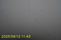 Img20250612_114323.jpg