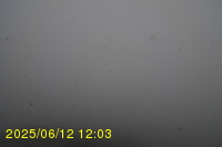 Img20250612_120323.jpg