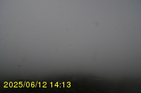 Img20250612_141324.jpg