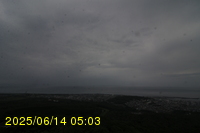 Img20250614_050331.jpg