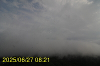 Img20250627_082154.jpg
