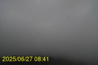 Img20250627_084155.jpg