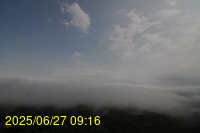 Img20250627_091655.jpg