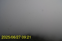 Img20250627_092155.jpg