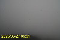 Img20250627_093155.jpg