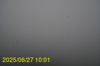 Img20250627_100155.jpg