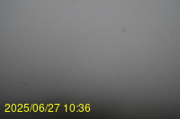 Img20250627_103655.jpg