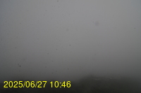 Img20250627_104655.jpg
