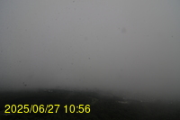 Img20250627_105655.jpg