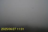 Img20250627_110155.jpg