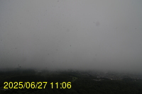 Img20250627_110655.jpg