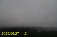 Img20250627_113155.jpg