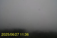 Img20250627_113655.jpg