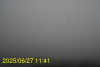 Img20250627_114155.jpg