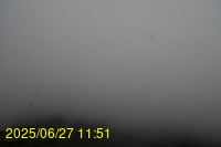 Img20250627_115155.jpg