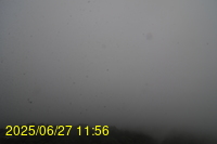 Img20250627_115655.jpg