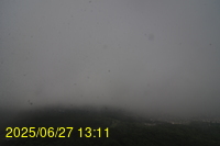 Img20250627_131155.jpg