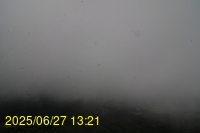 Img20250627_132155.jpg