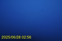 Img20250628_025659.jpg
