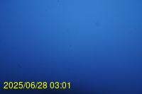 Img20250628_030159.jpg