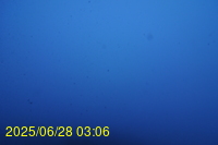 Img20250628_030659.jpg