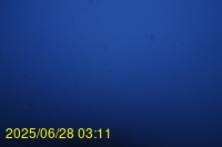 Img20250628_031159.jpg