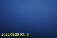 Img20250628_031659.jpg
