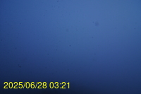 Img20250628_032159.jpg