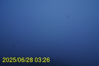 Img20250628_032659.jpg