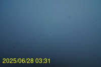 Img20250628_033159.jpg