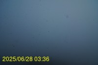 Img20250628_033659.jpg