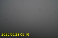 Img20250628_051659.jpg