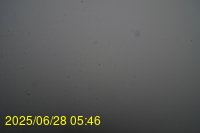 Img20250628_054659.jpg