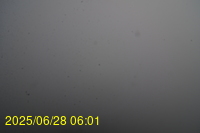 Img20250628_060159.jpg