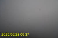 Img20250628_063700.jpg