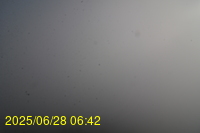 Img20250628_064200.jpg