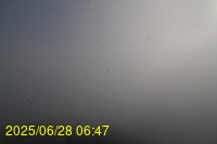 Img20250628_064700.jpg