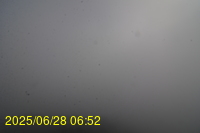 Img20250628_065200.jpg