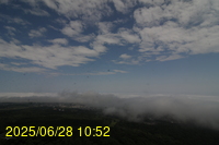 Img20250628_105201.jpg