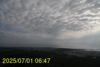 Img20250701_064716.jpg