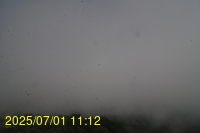 Img20250701_111217.jpg