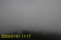 Img20250701_111717.jpg