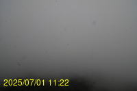 Img20250701_112217.jpg