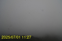 Img20250701_112717.jpg