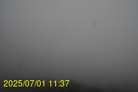 Img20250701_113717.jpg