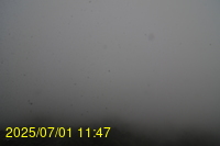Img20250701_114717.jpg